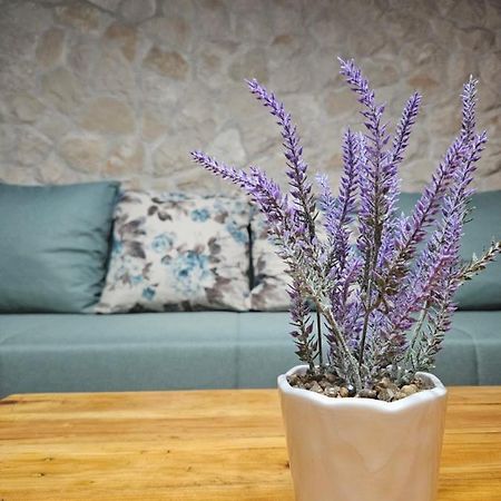 Dalmatia Rustica Comfortable One Bedroom+Fireplace ซาดาร์ ภายนอก รูปภาพ