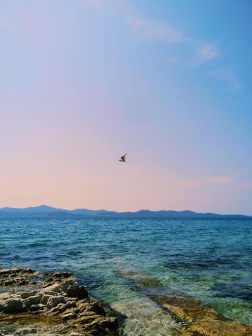 Dalmatia Rustica Comfortable One Bedroom+Fireplace ซาดาร์ ภายนอก รูปภาพ