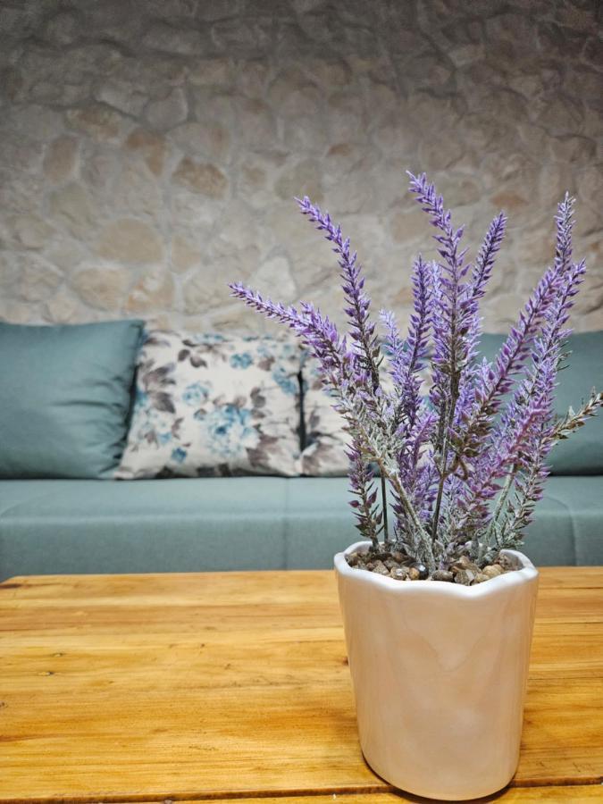 Dalmatia Rustica Comfortable One Bedroom+Fireplace ซาดาร์ ภายนอก รูปภาพ